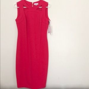 Calvin Klein NWT Fushia Dress Sz 6
